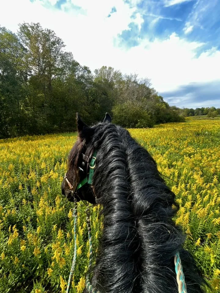 Jessie Simecek with Fergus