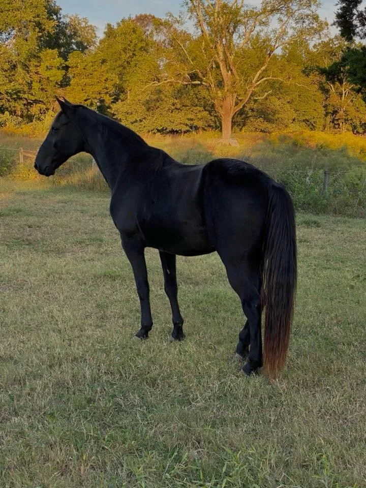 Carol Ann with Black Cadillac