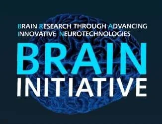 This research is funded by the U.S. BRAIN Initiative.