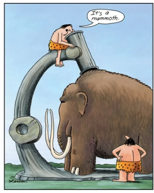 The right time for DBS often is obvious. (Gary Larson, The Far Side)