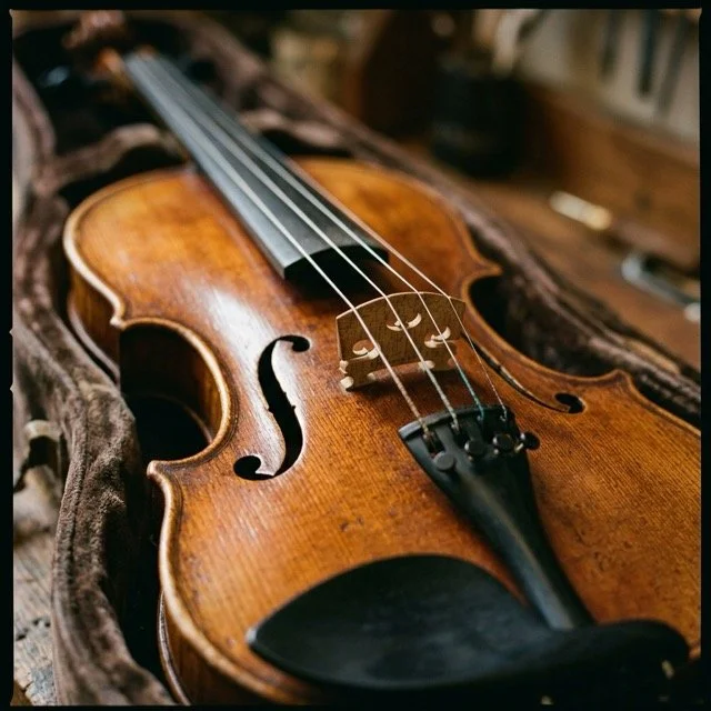 Close-up of a violin resting in its case, illustrating an adult beginner testimonial for online violin lessons with Léna Ruisz