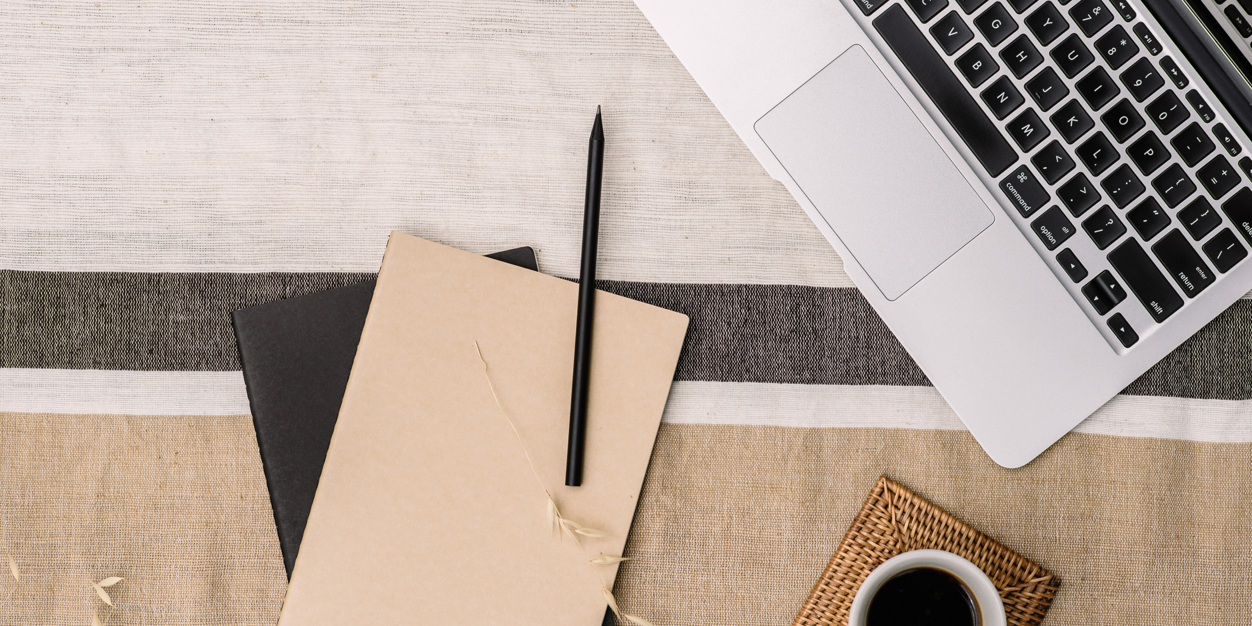 Newsletter Chrysalize — prochaines retraites et journées