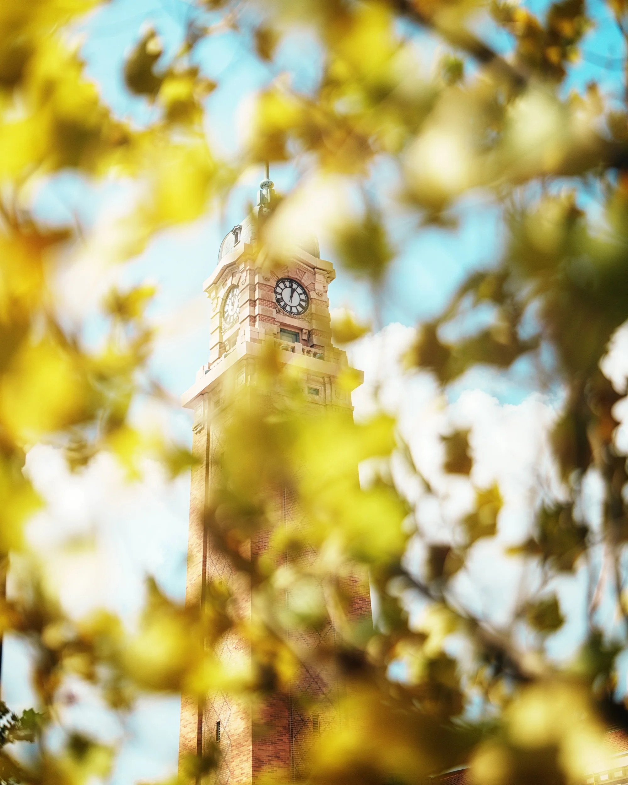 Clock tower framed by golden leaves