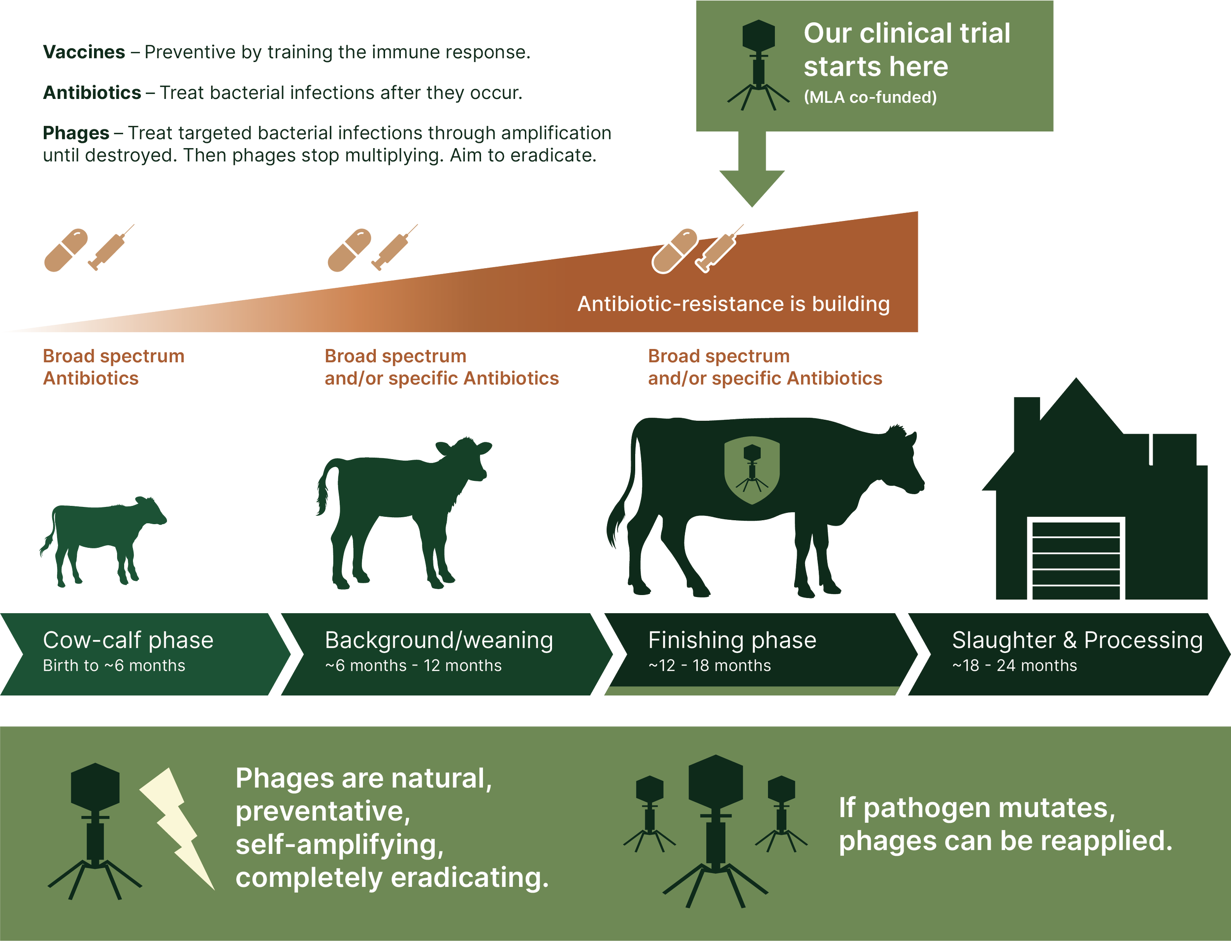 Lifecycle desktop graphic