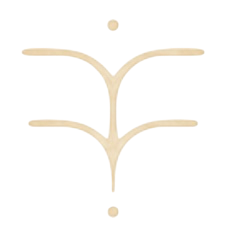 YTT Icon