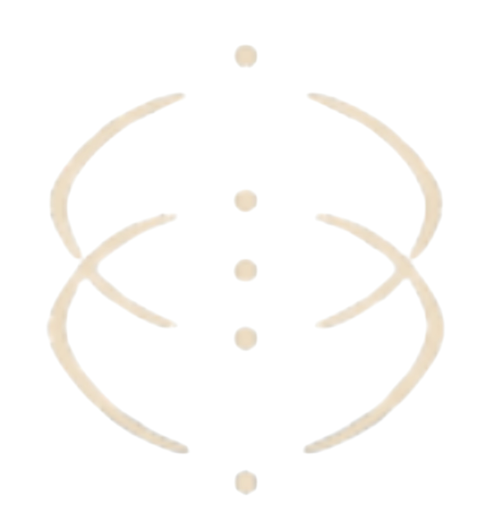Included Icon