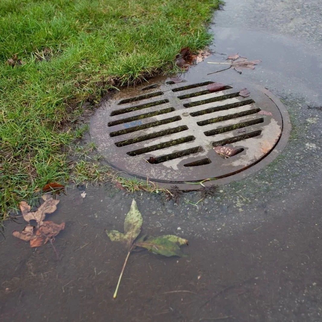septic drain field with soggy ground and sewage odor
