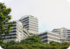 Condos & Apartments