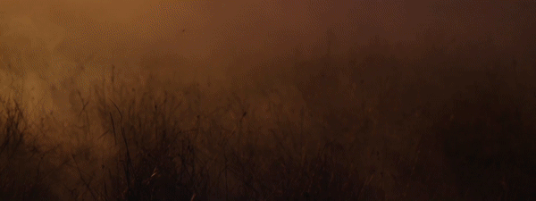 Facebook_Snack Night