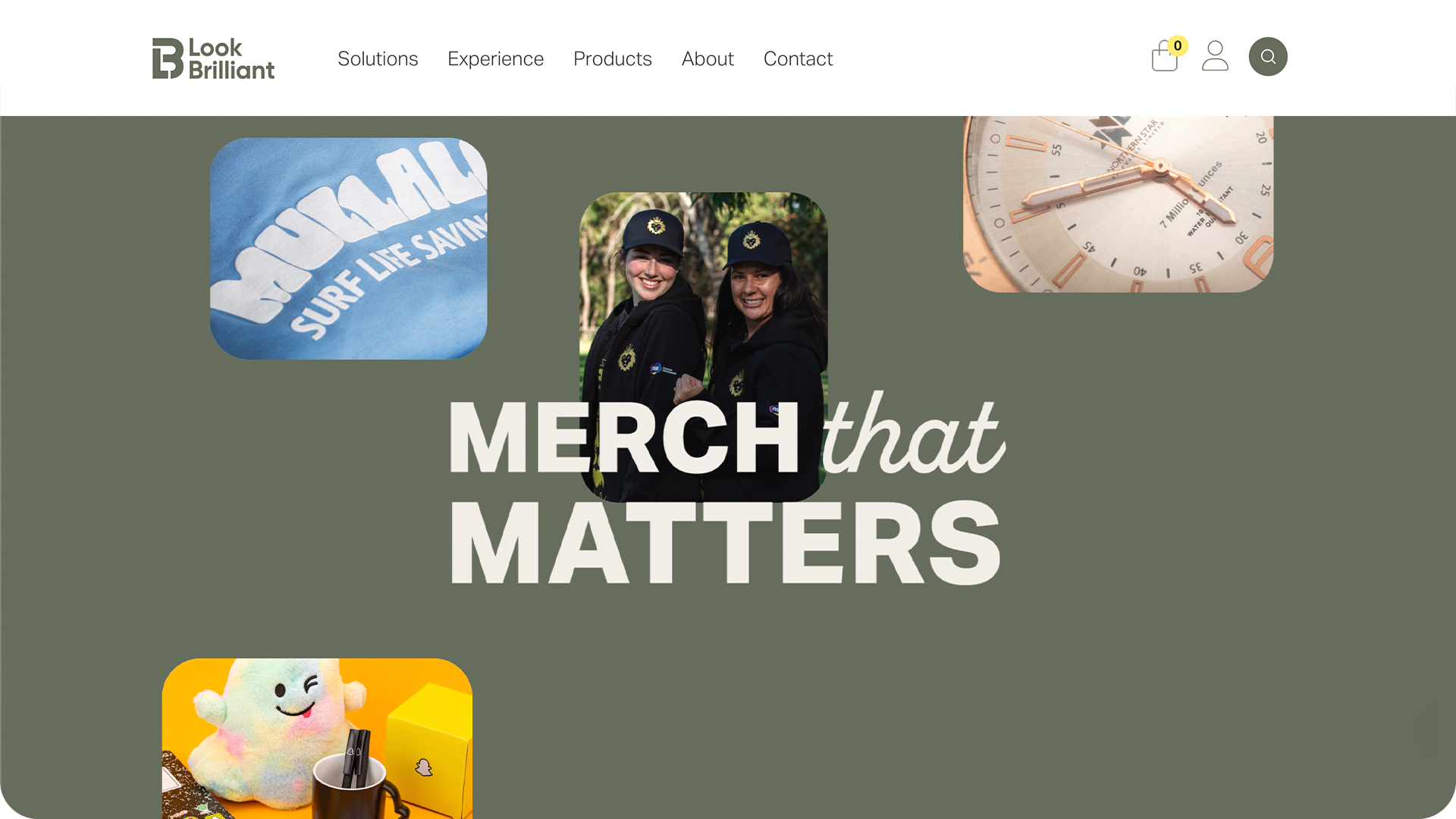 Look Brilliant website browser