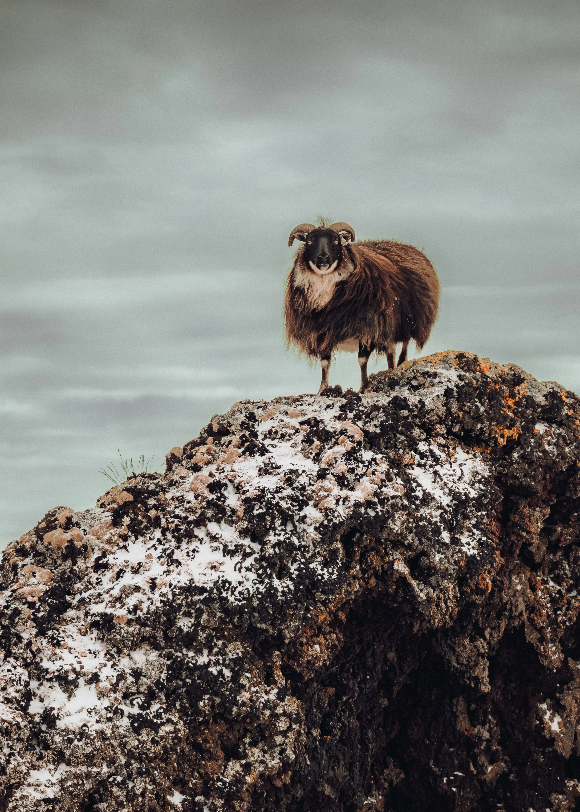 Iceland