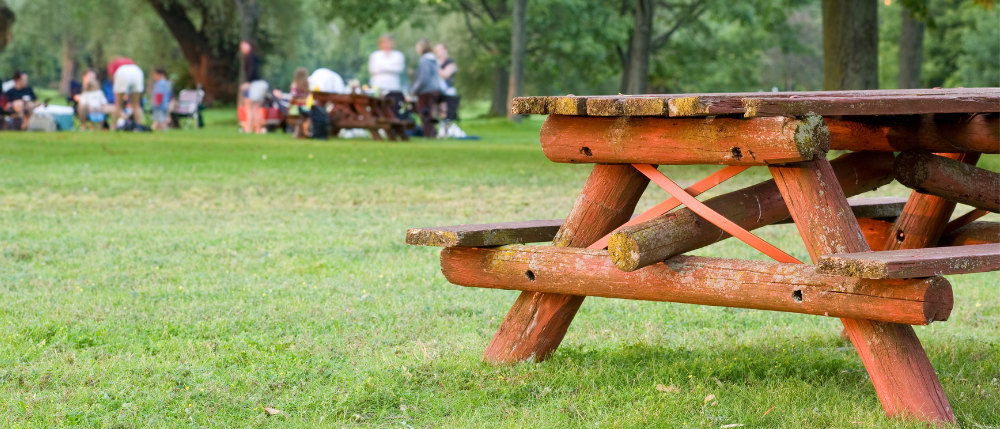 Family friendly outdoor sports picnic park