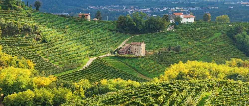 Valdobbiadene Prosecco Hills