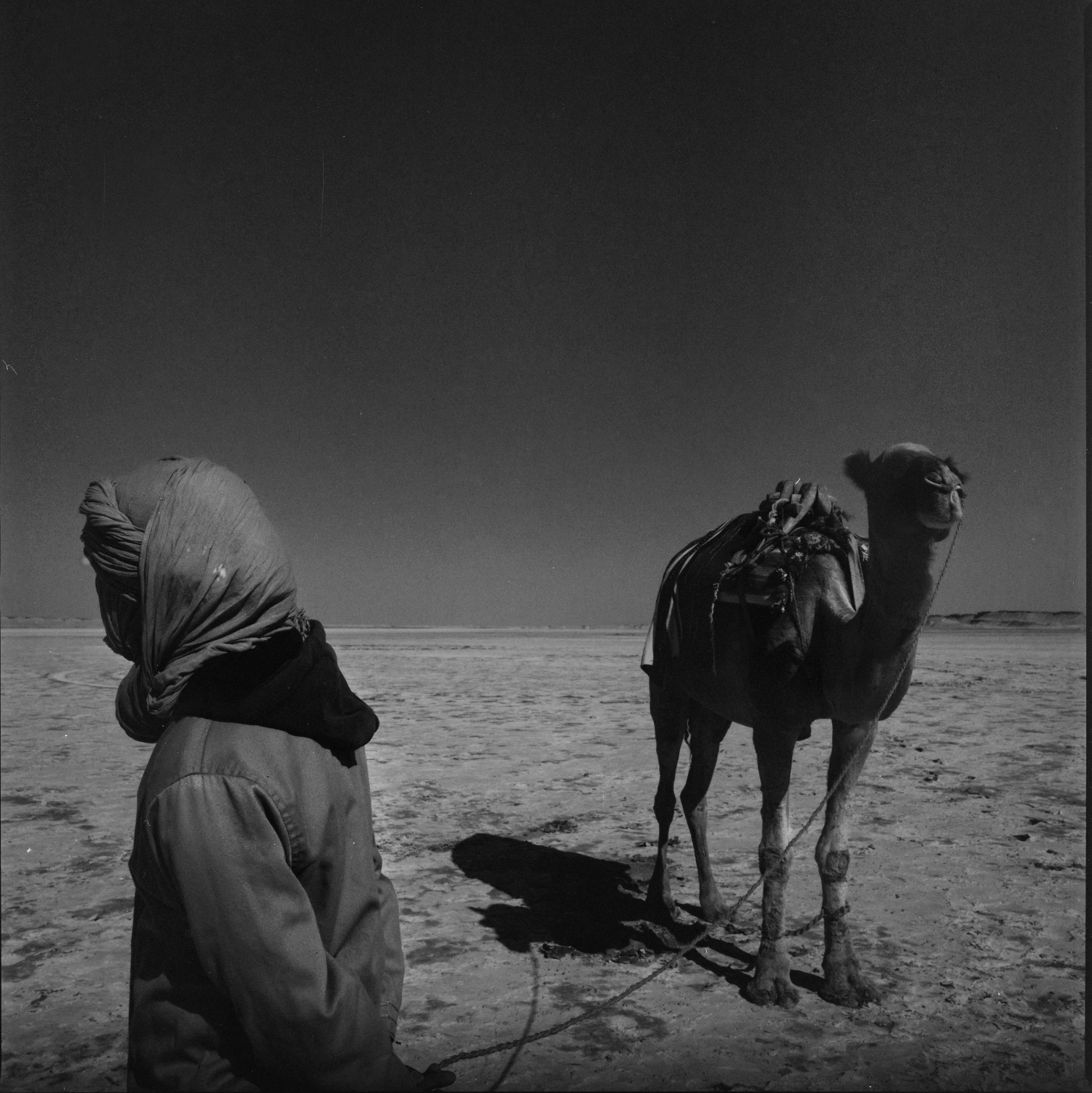 Skärmavbild 2026-02-11 kl. 00.02.25