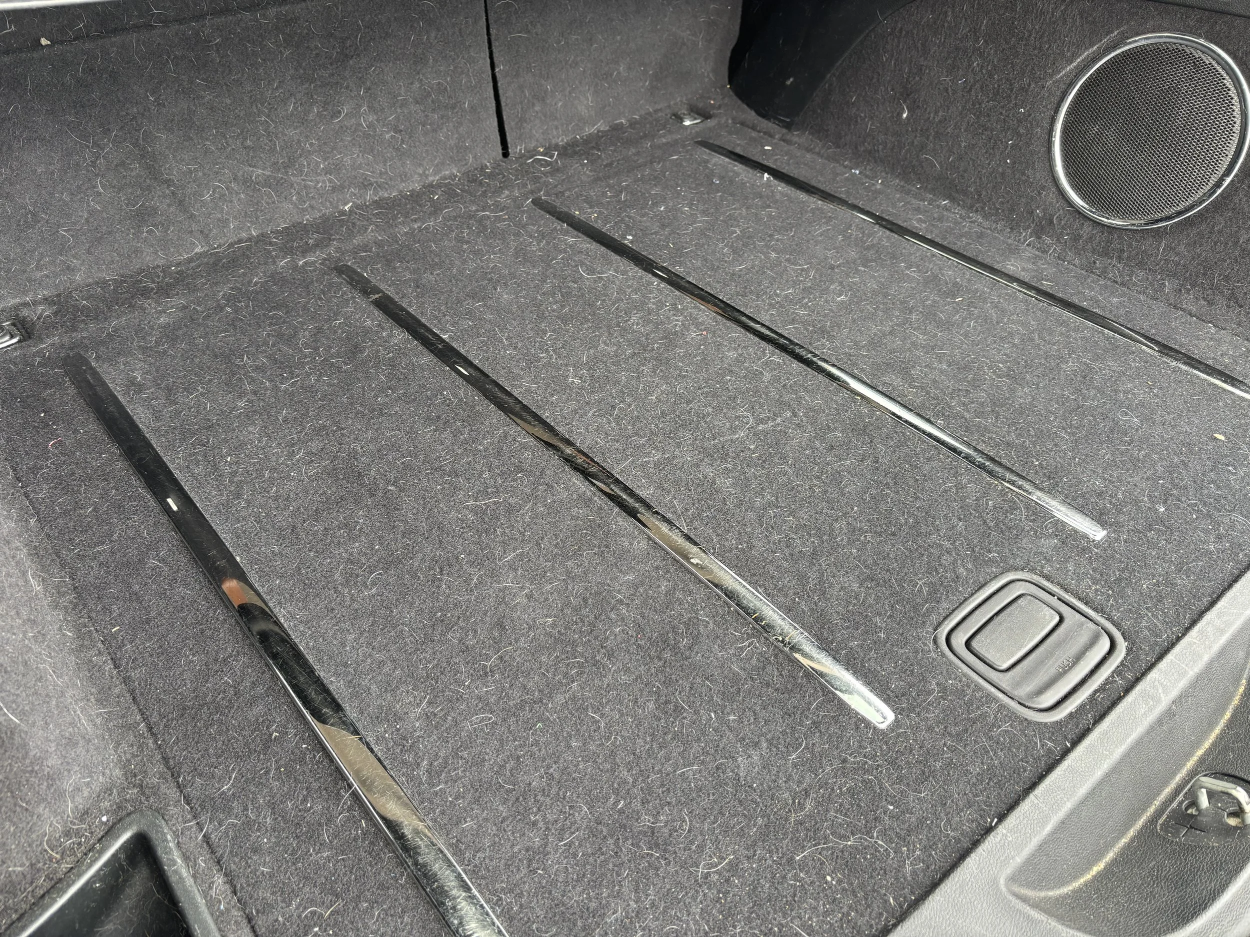 Full interior before pet hair removal