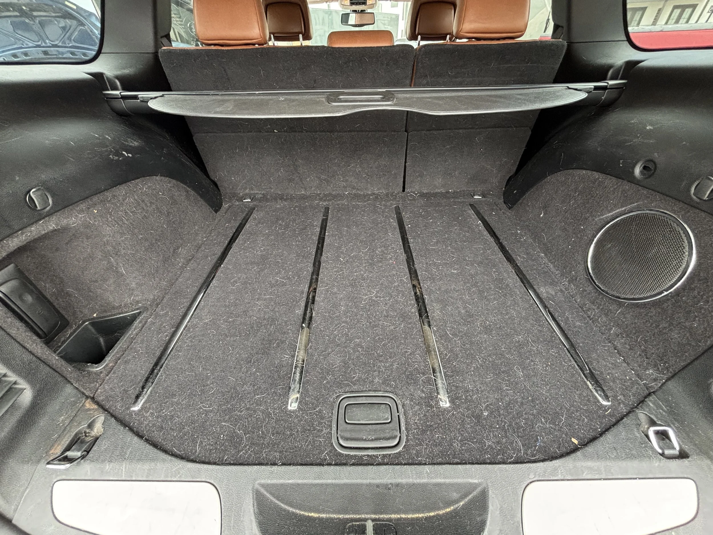 Wide angle trunk before pet hair removal