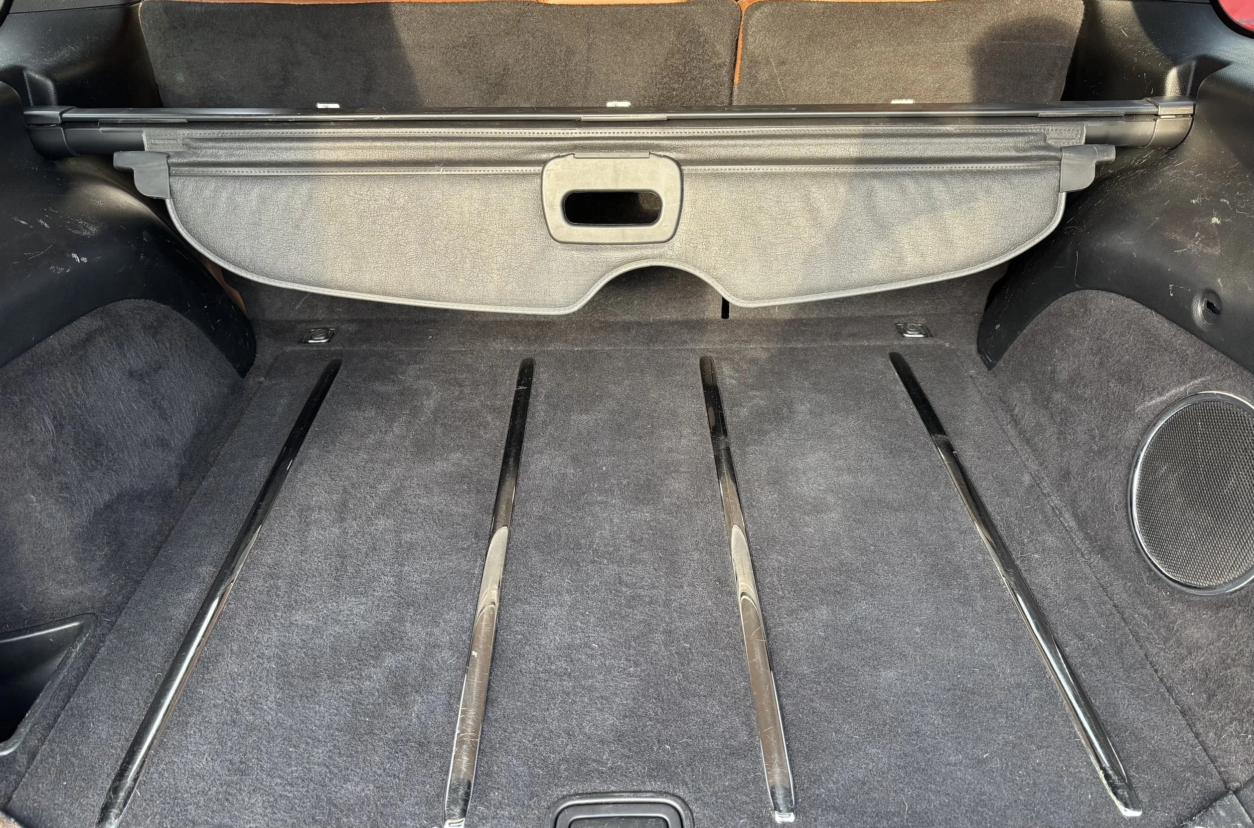 Trunk close-up after pet hair removal