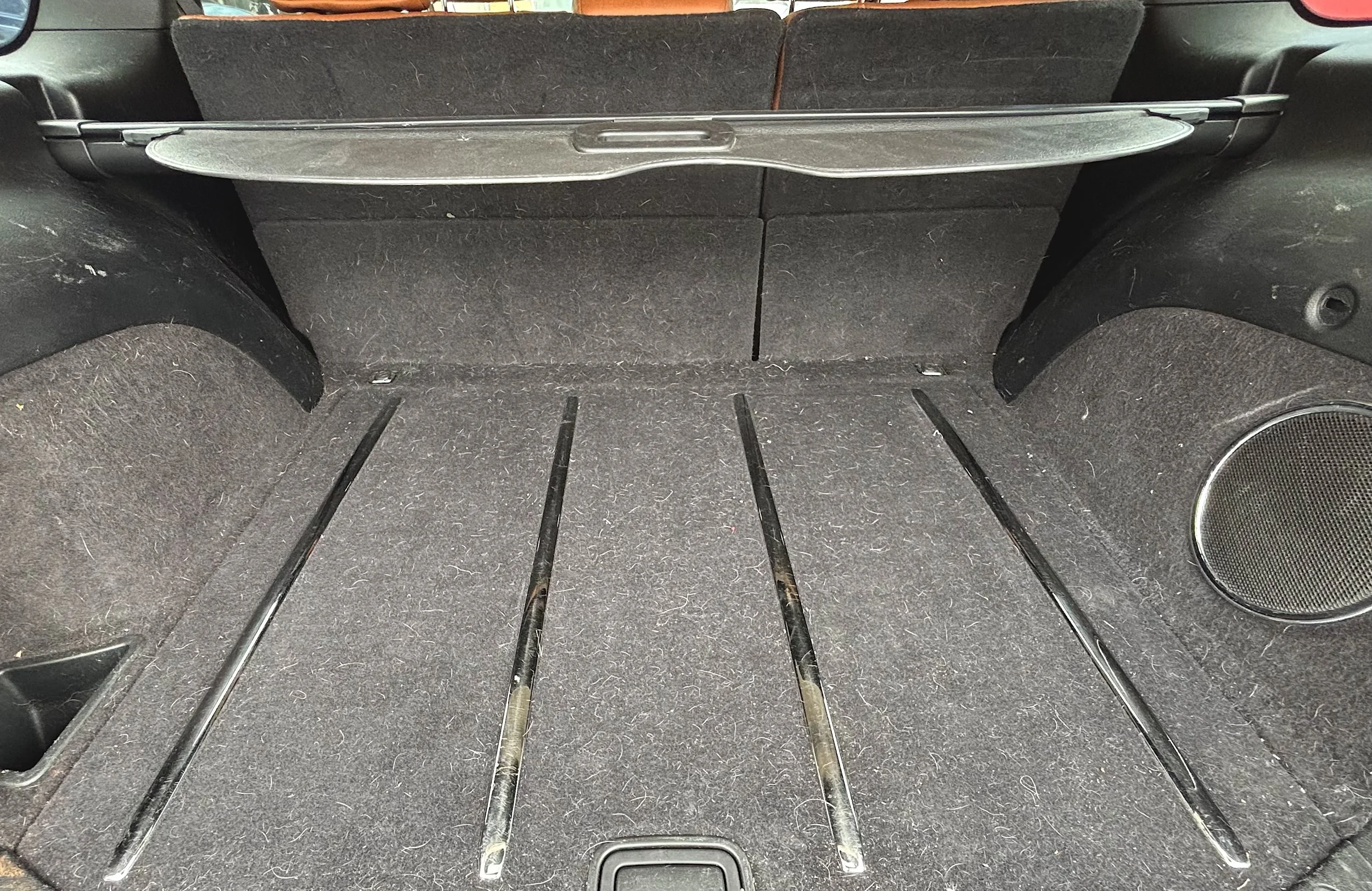 Trunk floor before pet hair removal