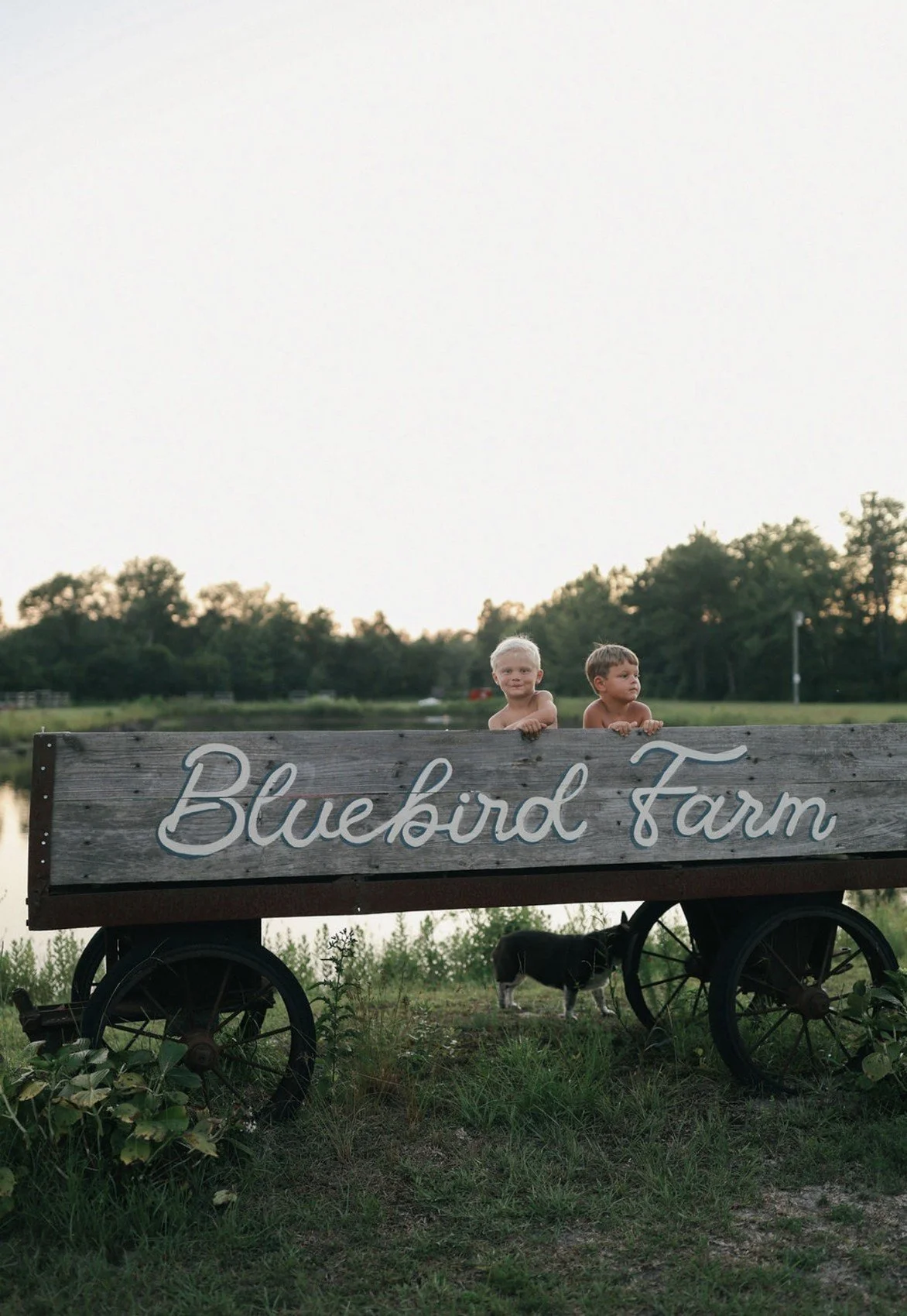 Two children peeking over the Bluebird Farm wagon sign beside the pond