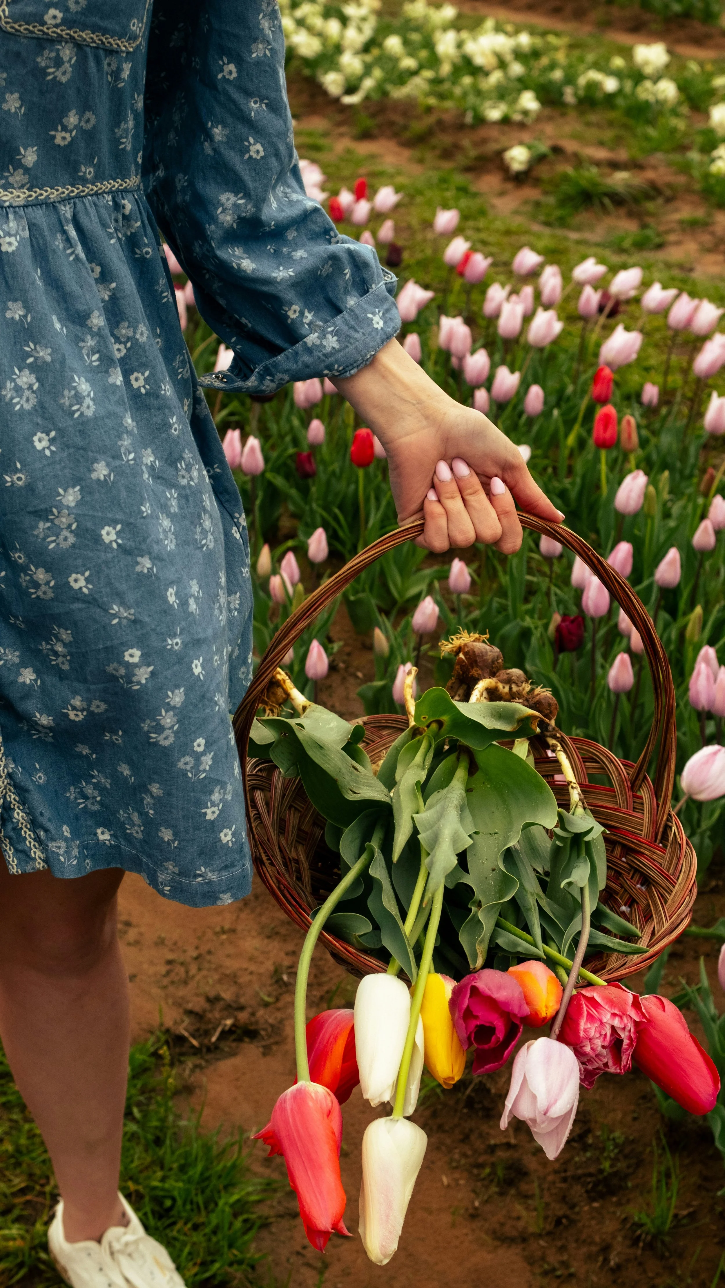 You pick fresh flowers