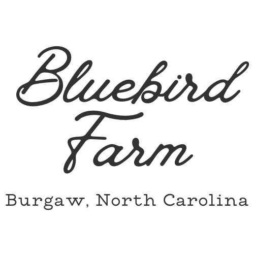 Bluebird Farm, Burgaw North Carolina
