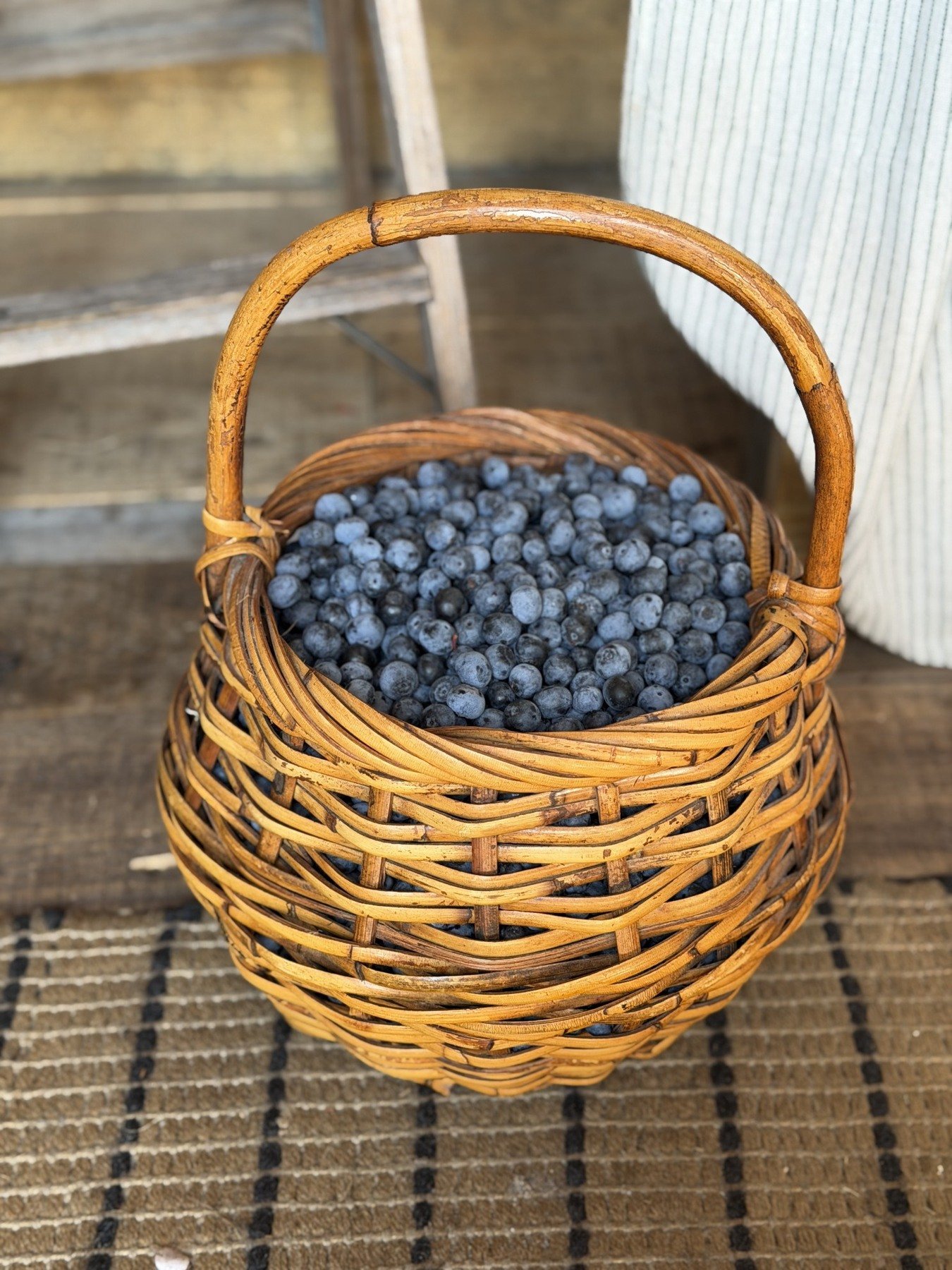 A woven basket filled with freshly picked blueberries