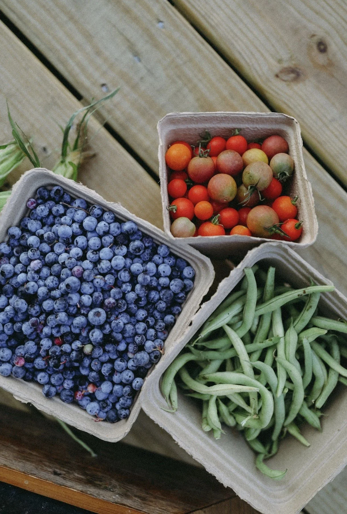 Freshly picked blueberries with tomatoes and green beans