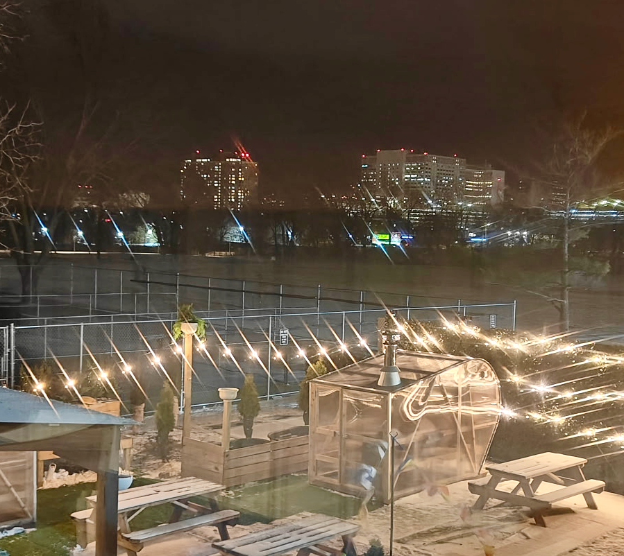 SweetDrip Sauna Haus yard