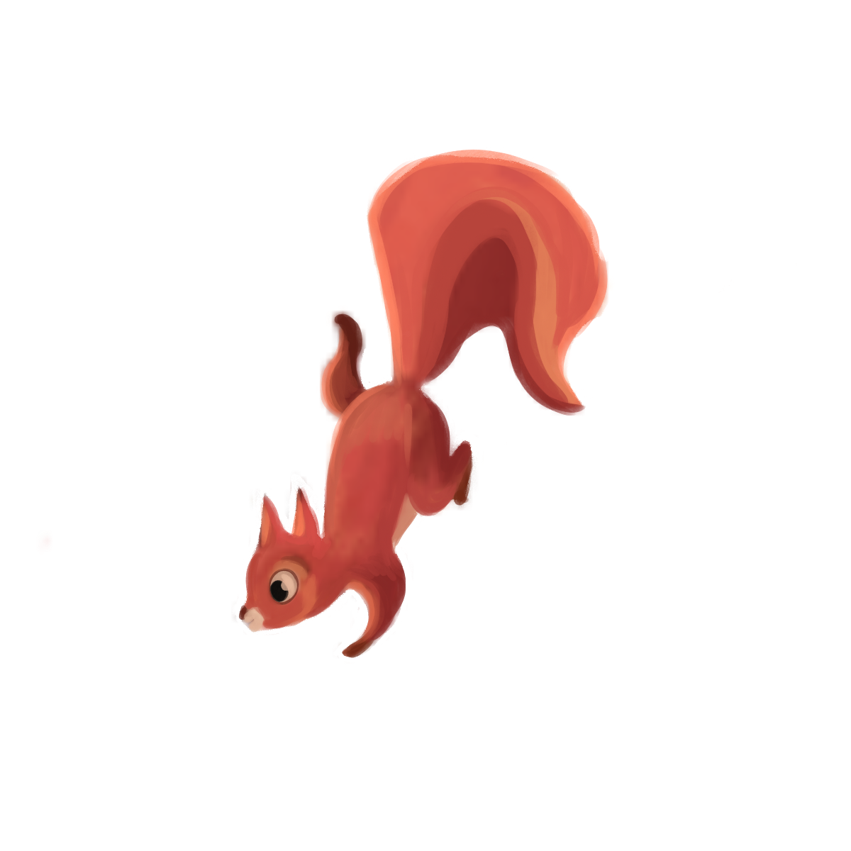 Squirrel
