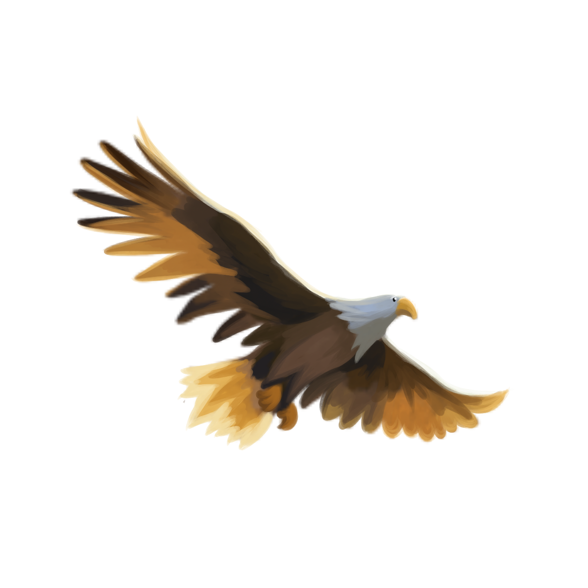 Soaring Eagle