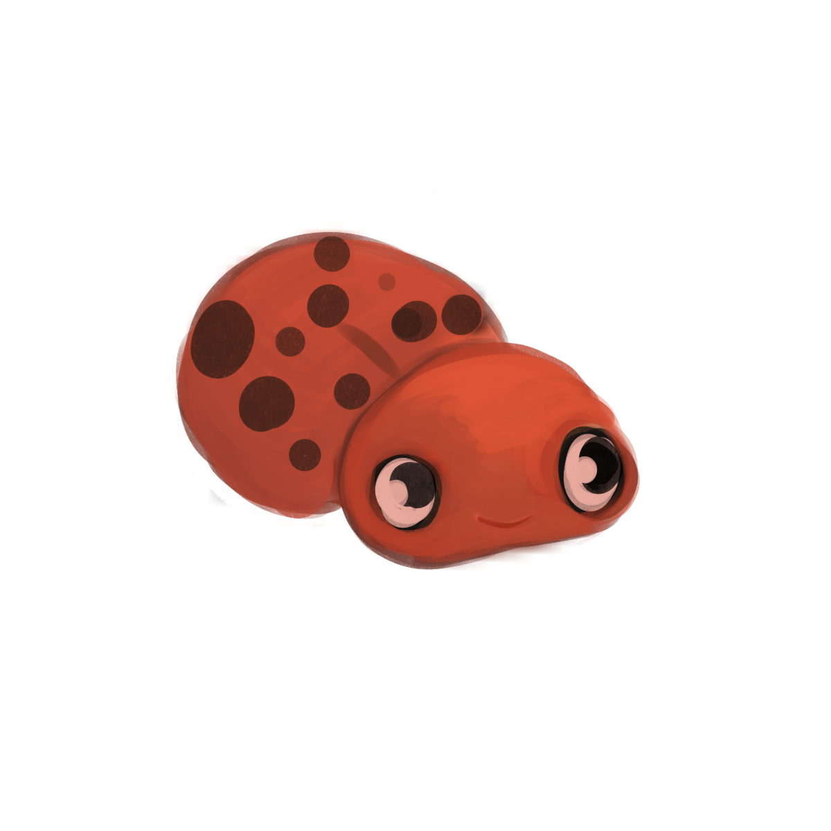Ladybug