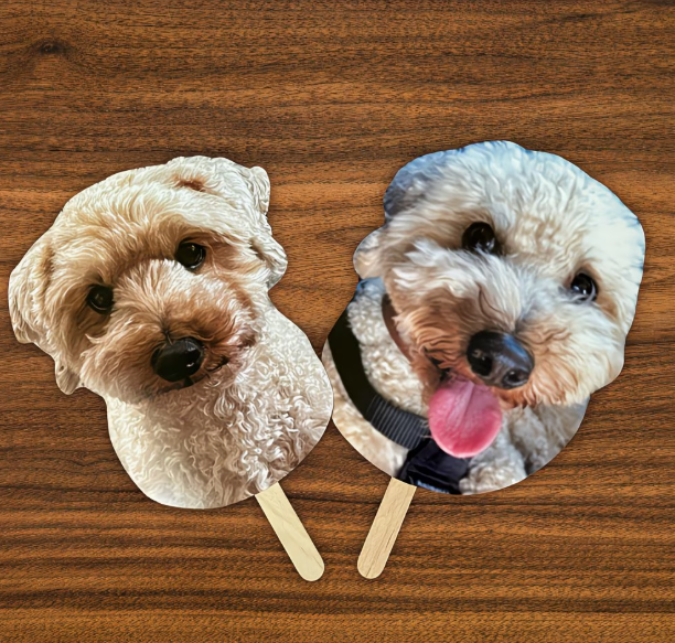 Custom cut-out prop in use