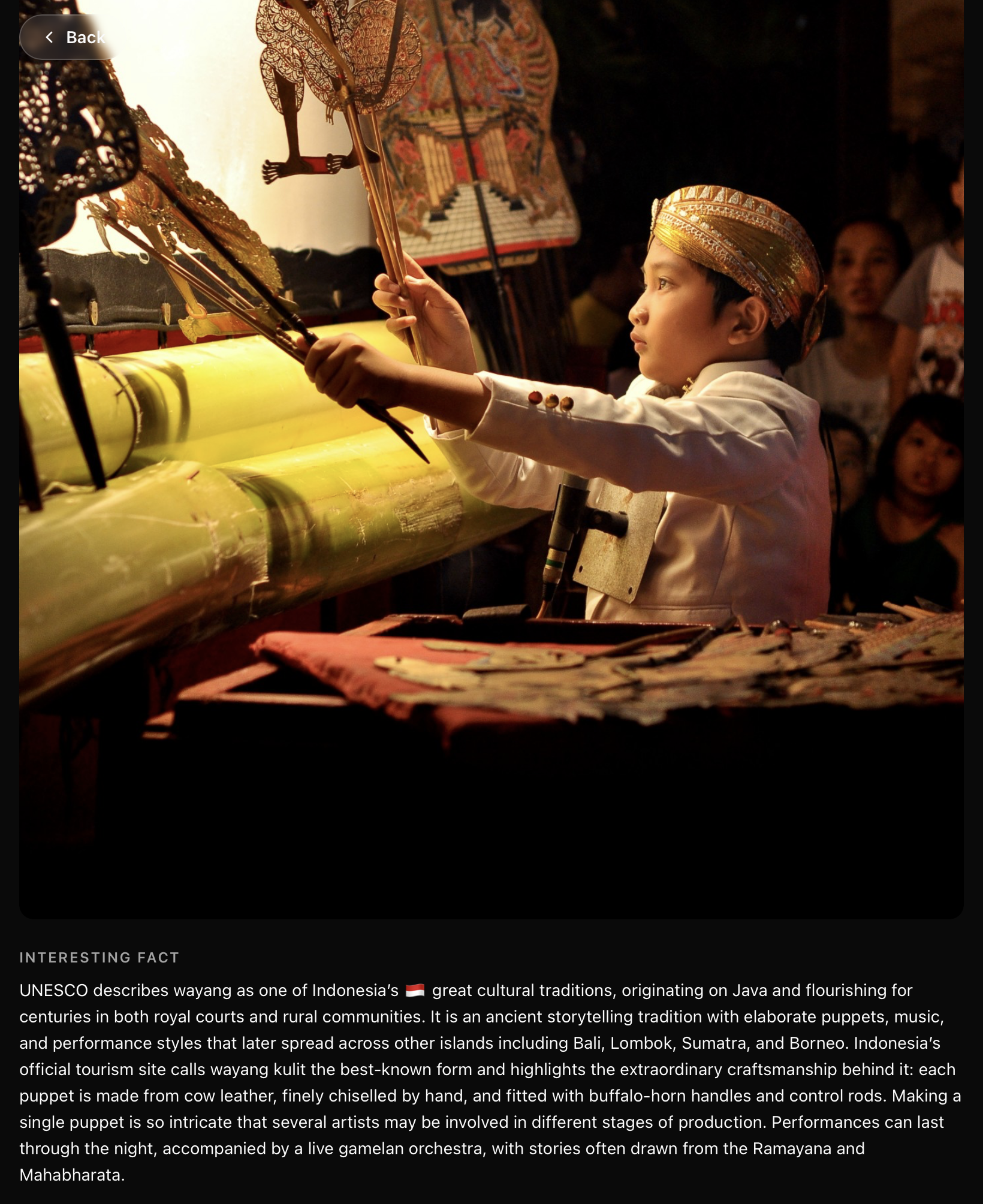 PathoSchema category or article screen