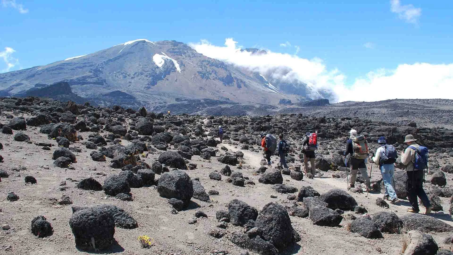 Trekking trail and changing terrain on Mount Kilimanjaro