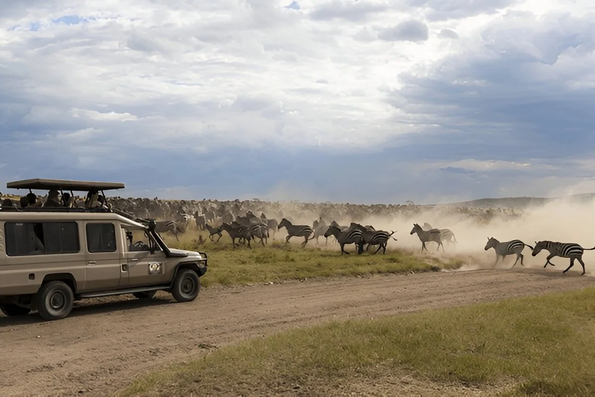 View down into the Ngorongoro Crater floor