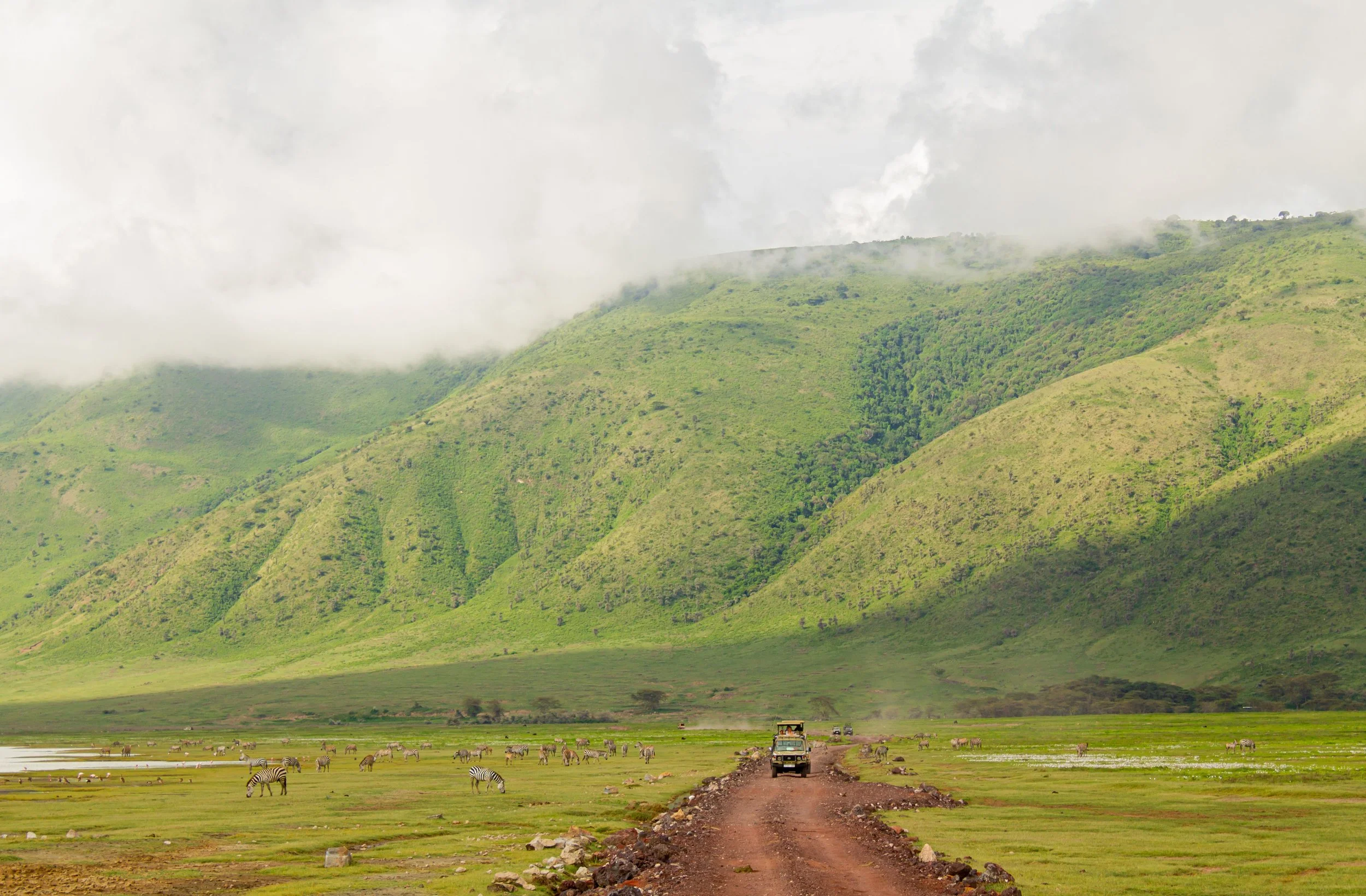 Safari vehicle on a game drive in Tanzania