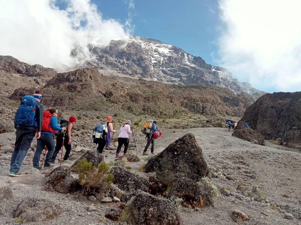Trekkers hiking a trail on Mount Kilimanjaro