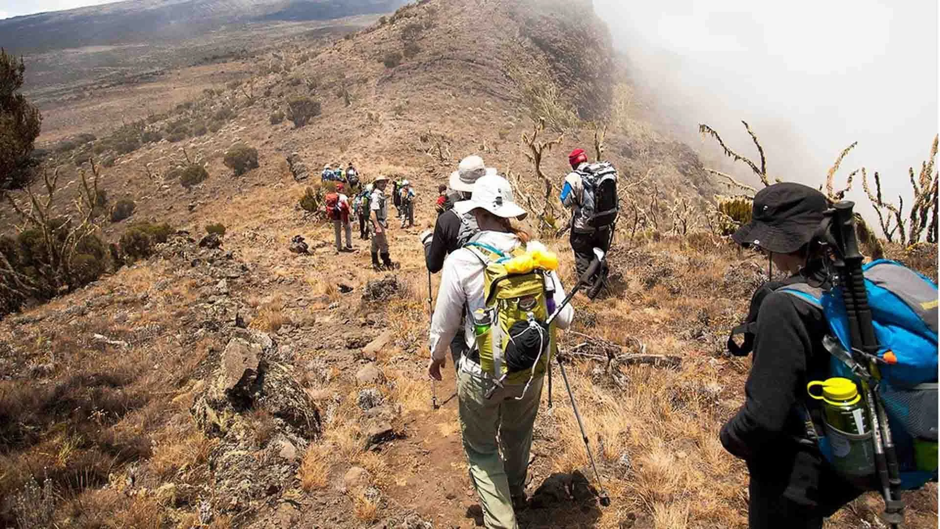 Snow-capped summit of Mount Kilimanjaro above the clouds