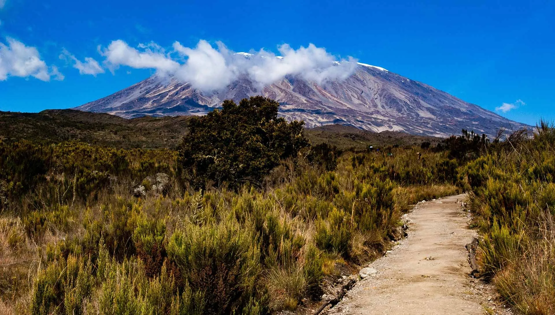 Trekkers ascending through changing ecological zones on Mount Kilimanjaro