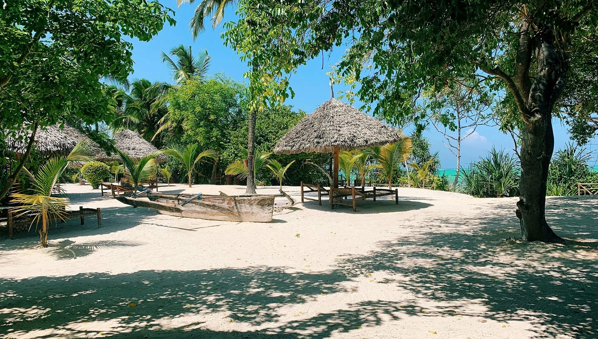 Coastal palm trees and peaceful island lagoon