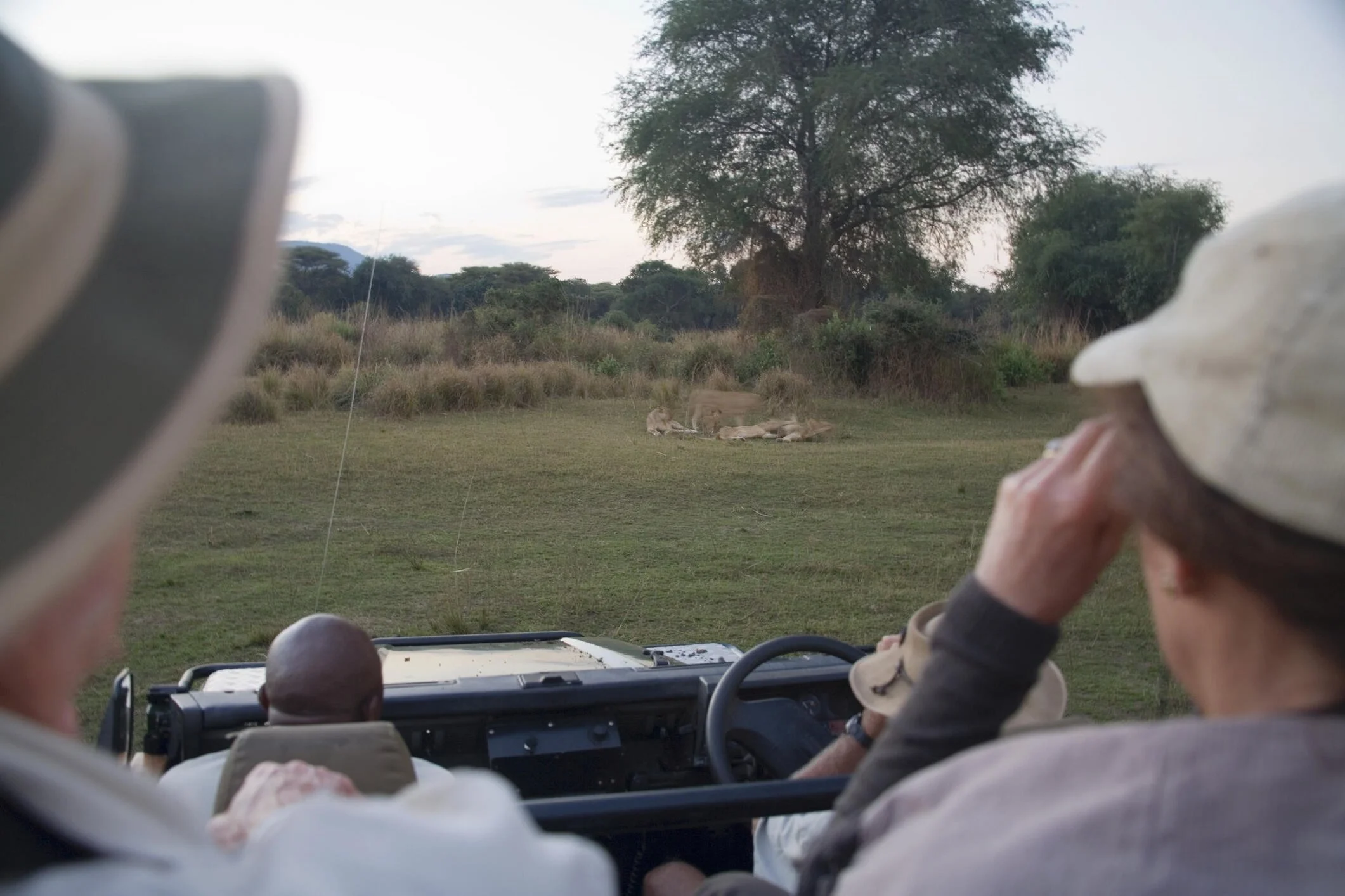 Baobab trees and elephants in Tarangire National Park