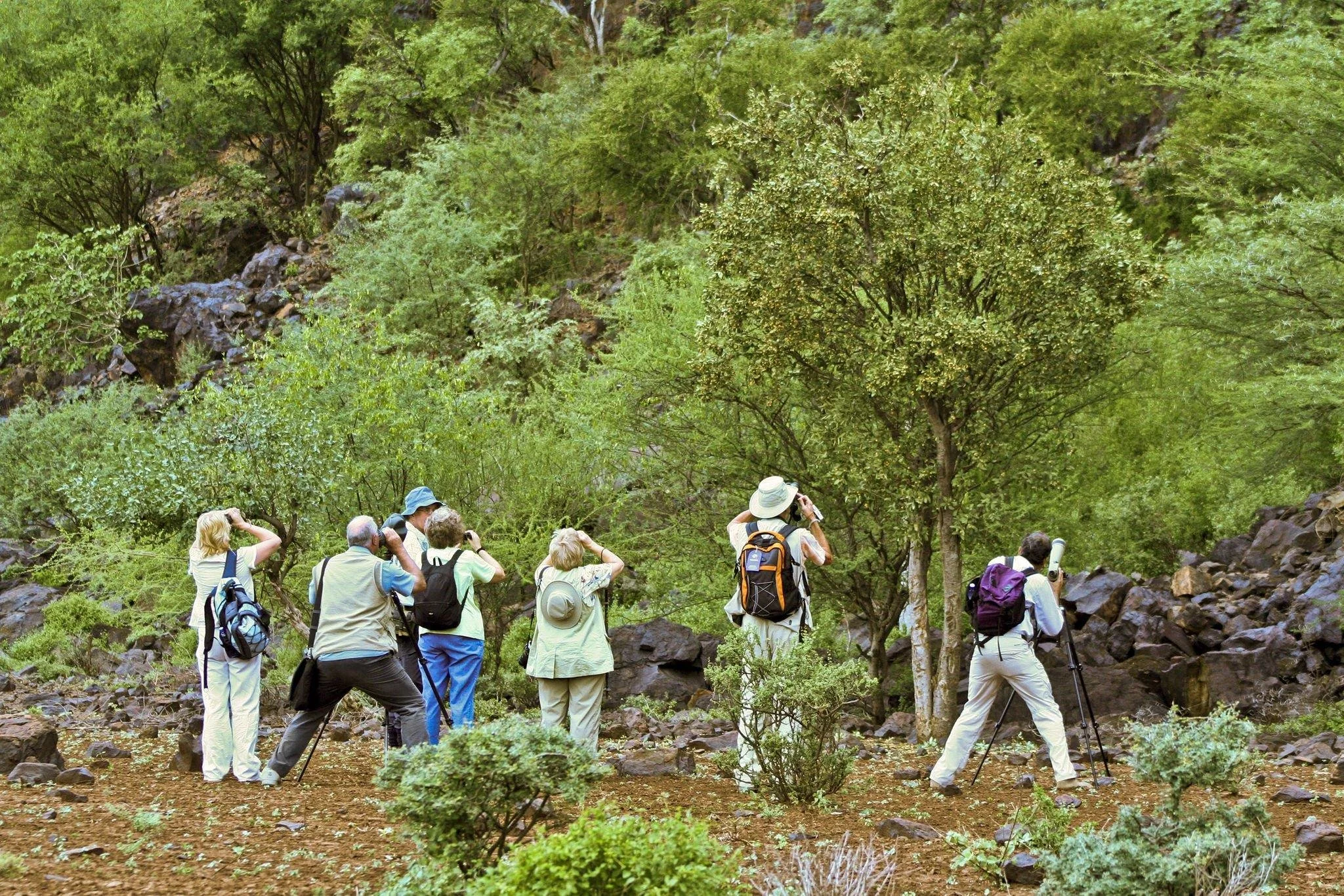 Walking trail through the Tanzanian bush