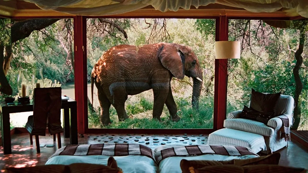 Private bush dinner setup beneath African stars
