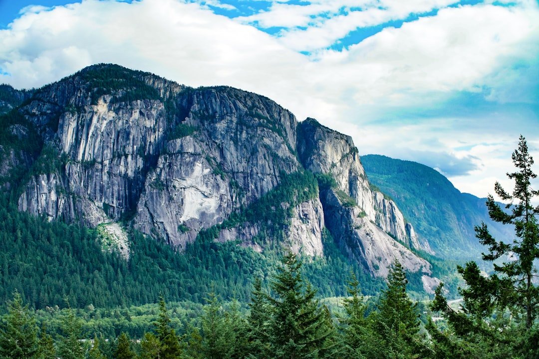 Granite walls above the forest in Squamish