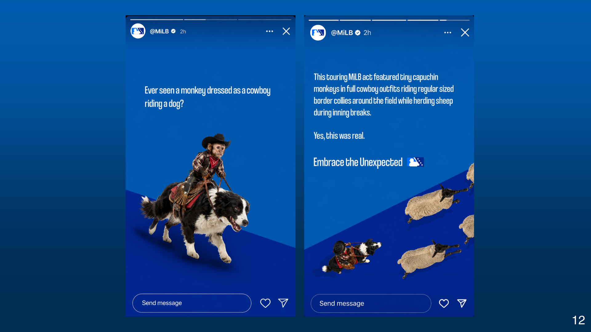 Cowboy monkey dog campaign execution