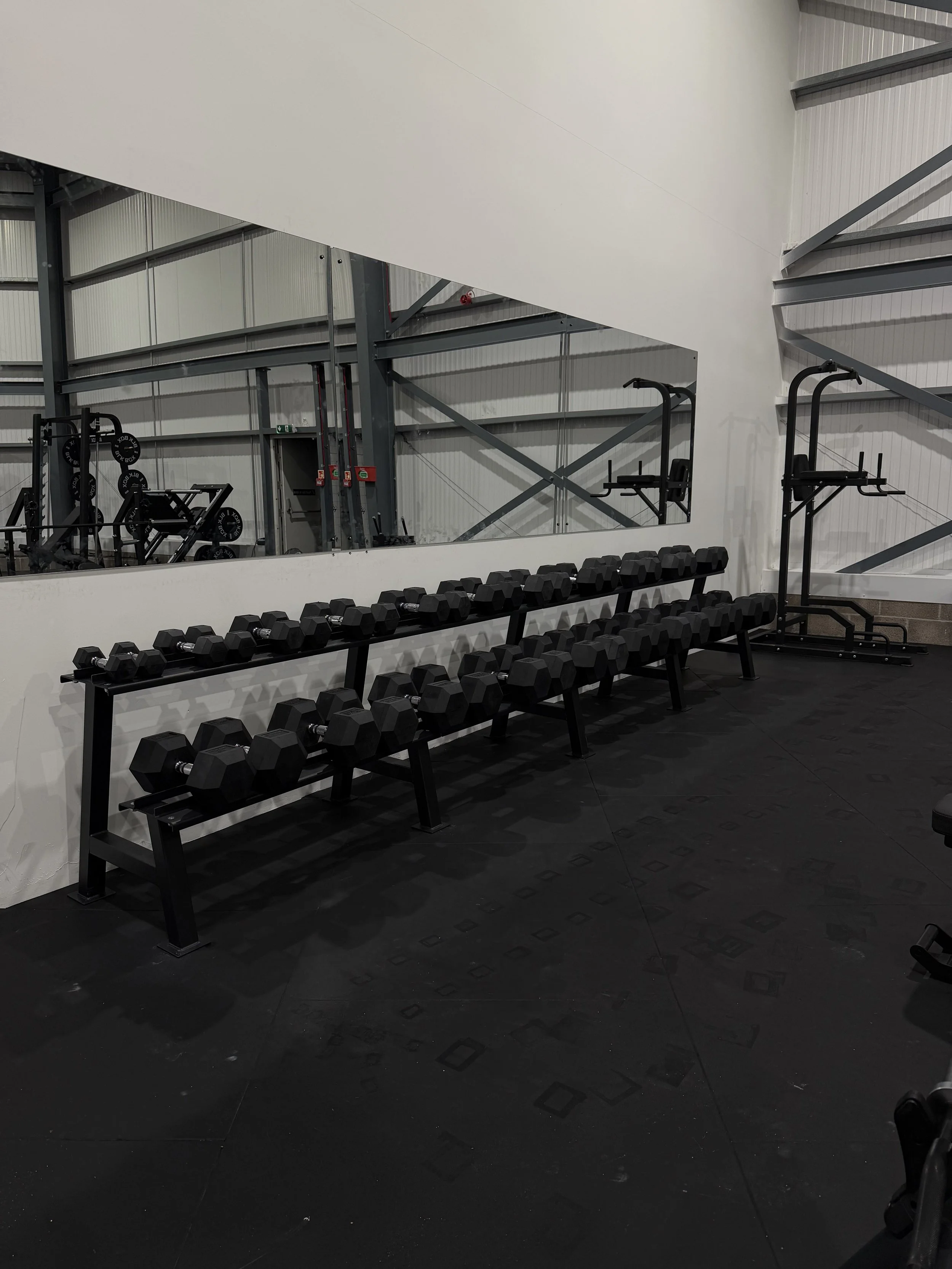 Dumbbell rack at Rephaus