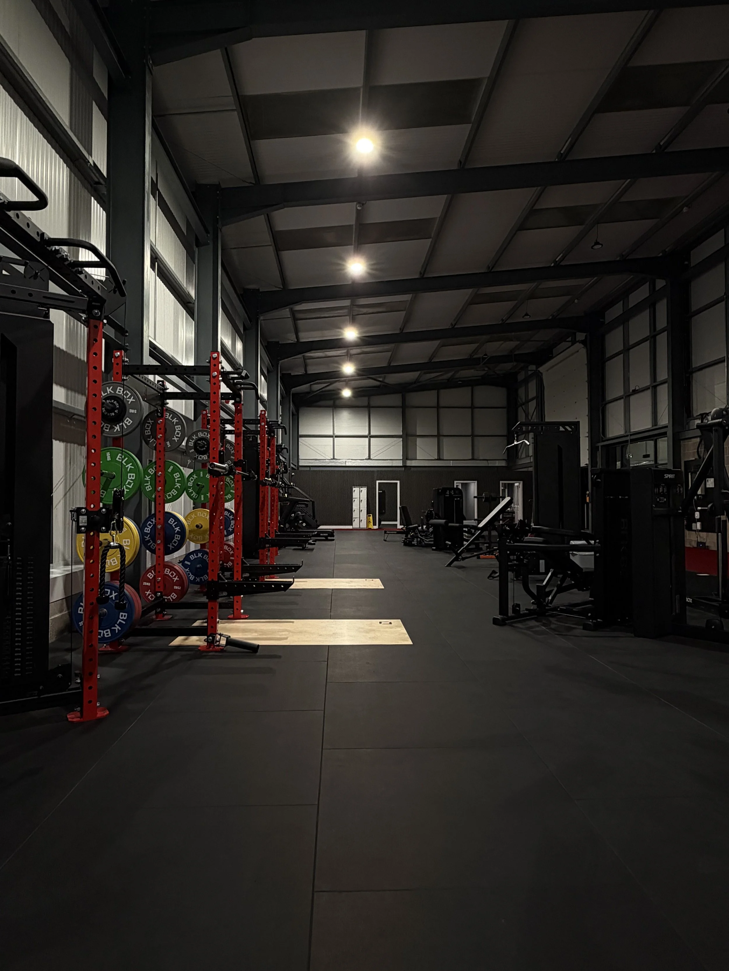 Rig with weight plates at Rephaus