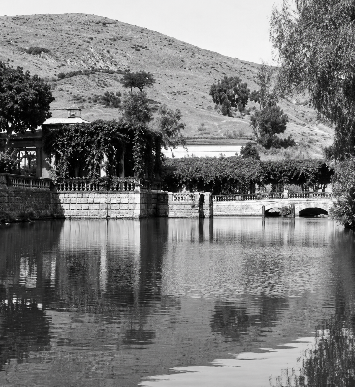 Colonización