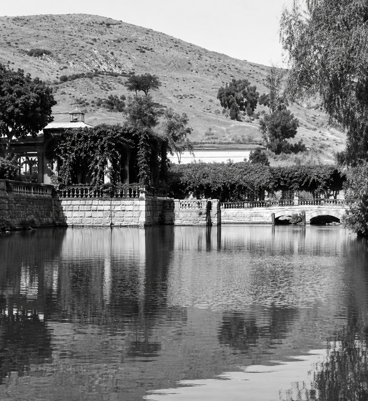 Colonización