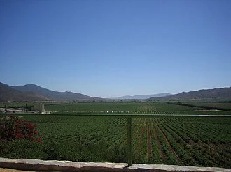 1928